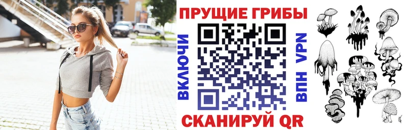 Купить  Ясный  Галлюциногенные грибы Cubensis 